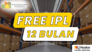 Free IPL 12 BULAN